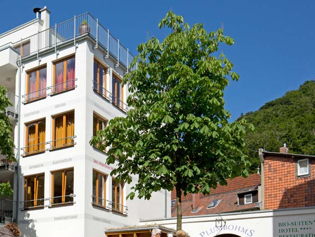 Plumbohms Echt-Harz-Hotel